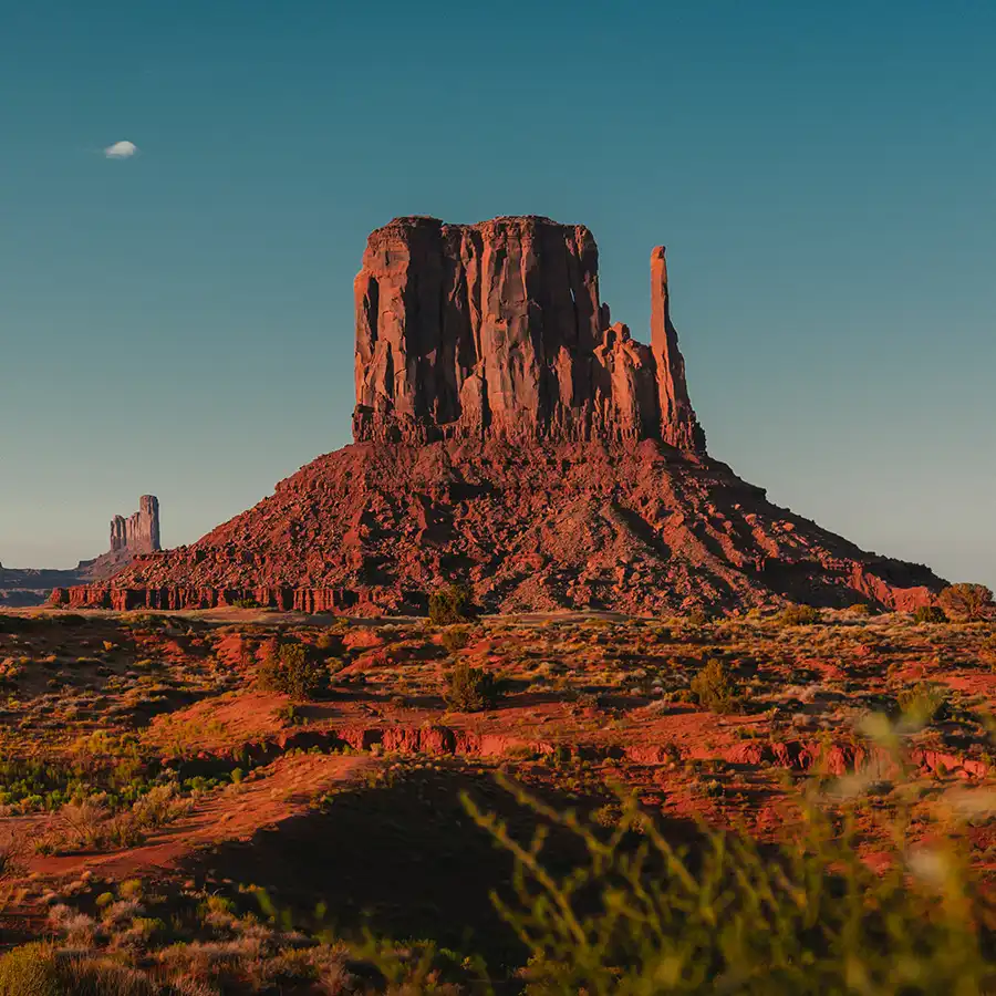 arizona