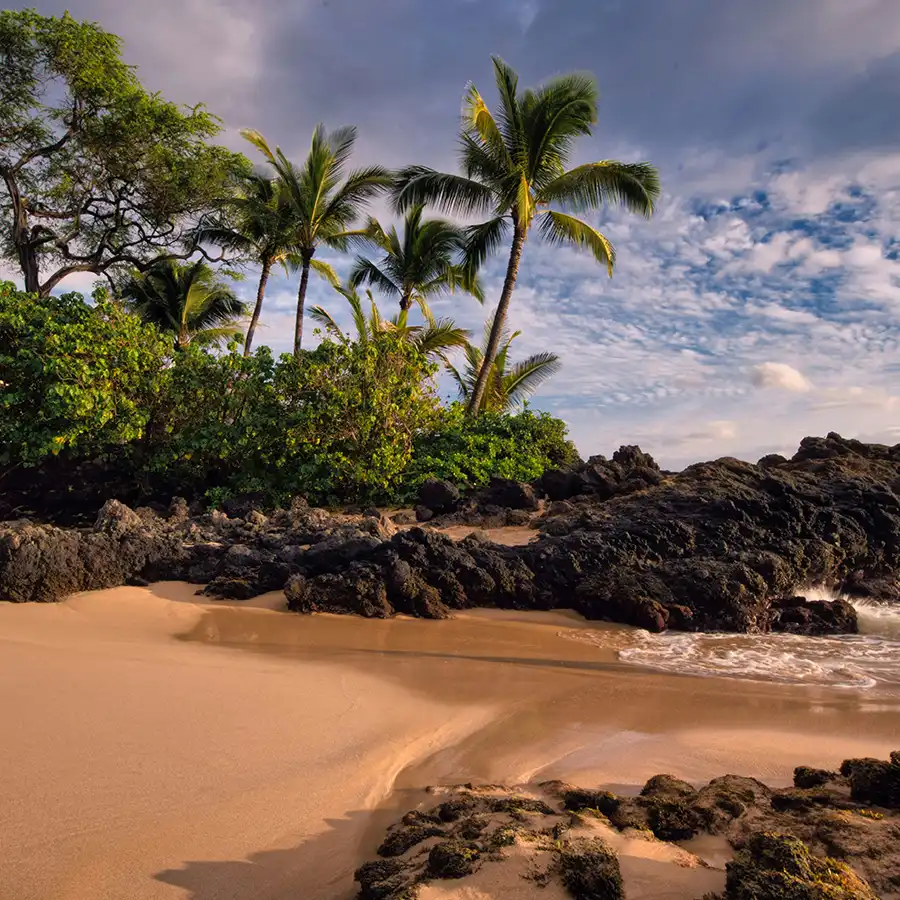 maui-la
