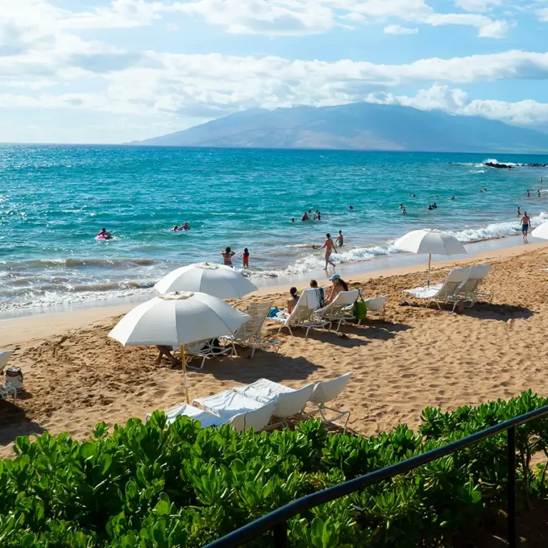 maui-ny