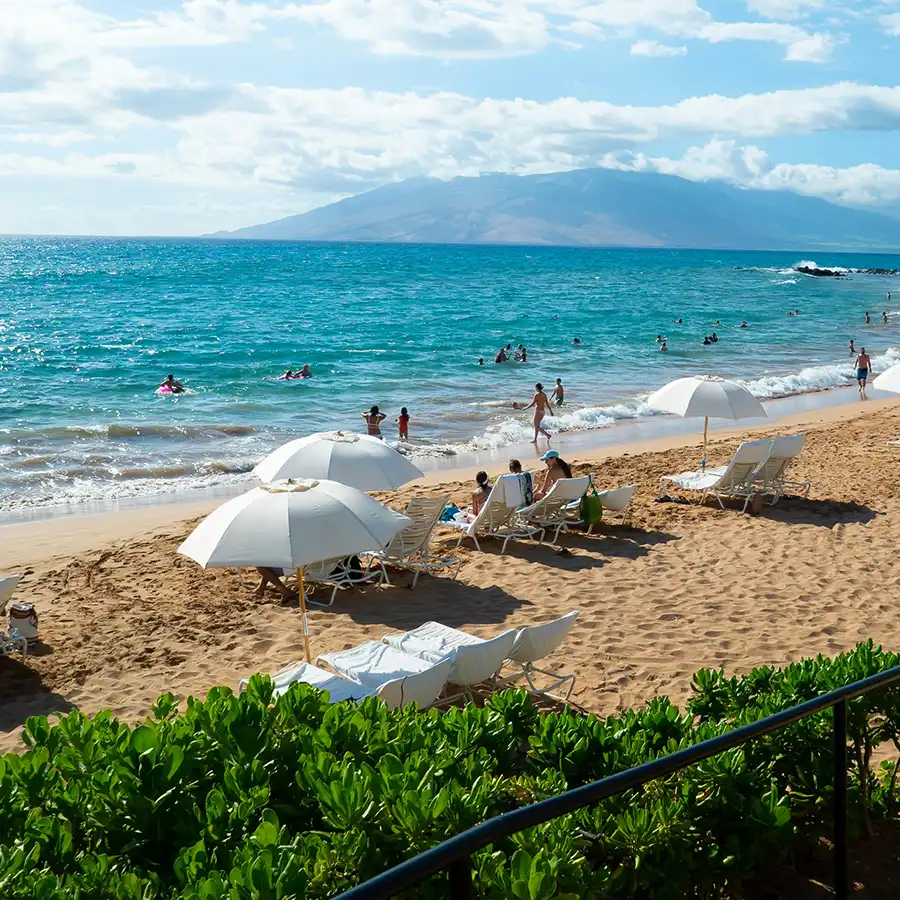 maui-ny