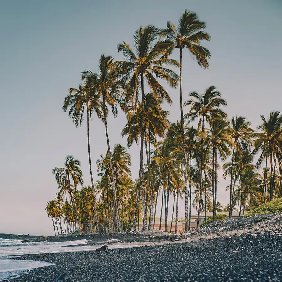 oahu-kona-ny