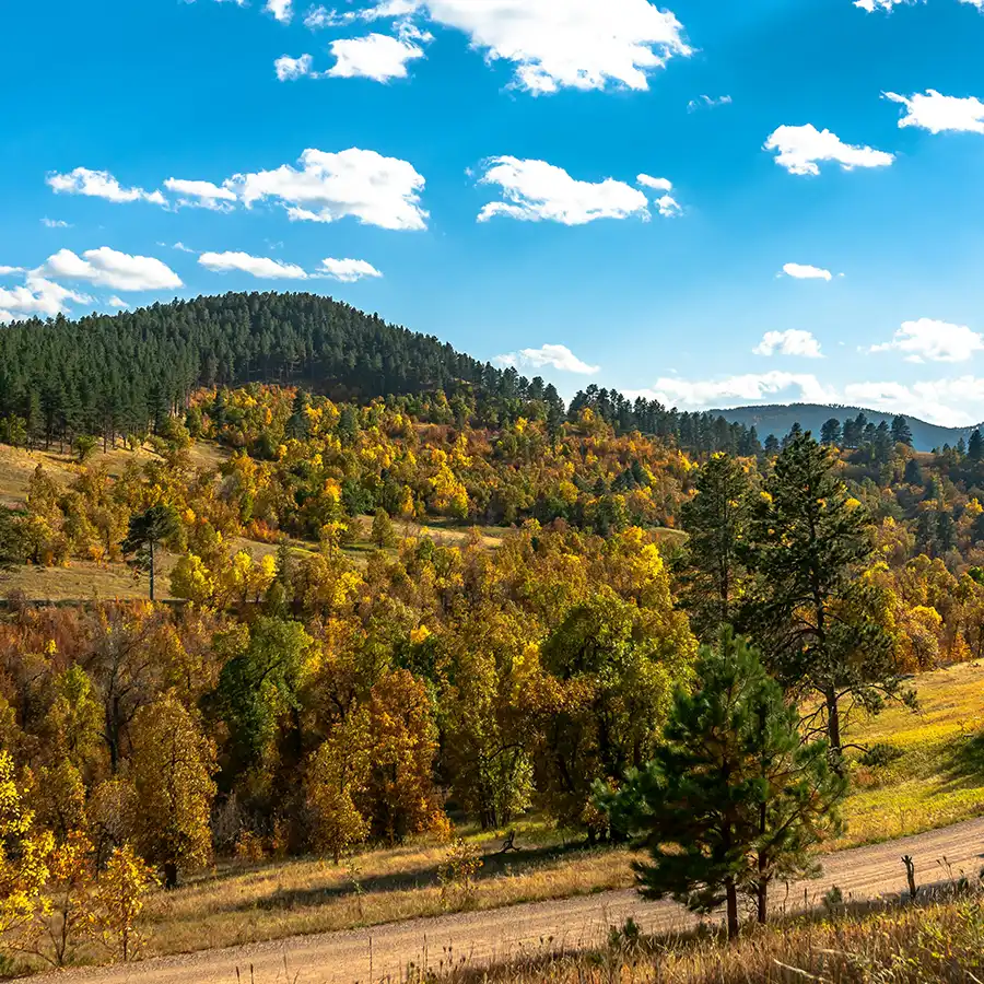south-dakota